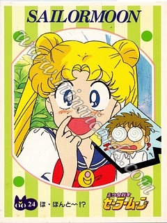 Sailor Moon Bromide Set 1