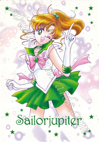 Sailor Moon 11th Anniversary Binder Cards