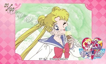 Sailor Moon Namco AniOn Station